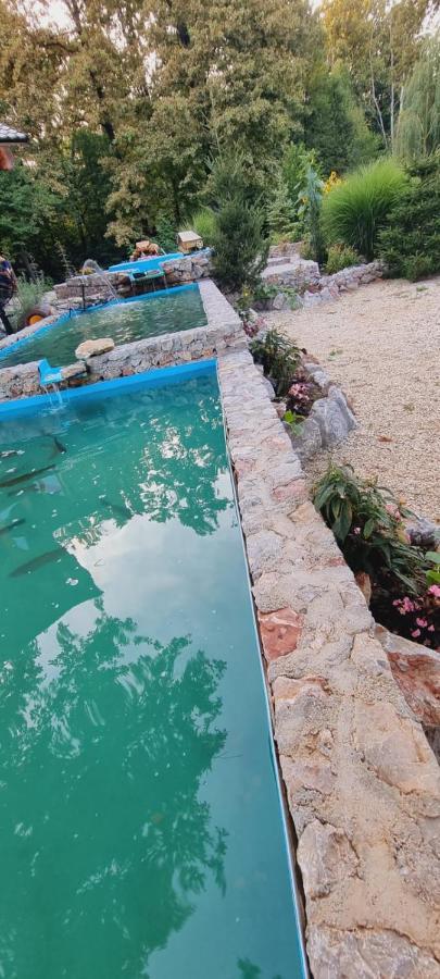 Guest House Mala Prica Zivinice Dış mekan fotoğraf